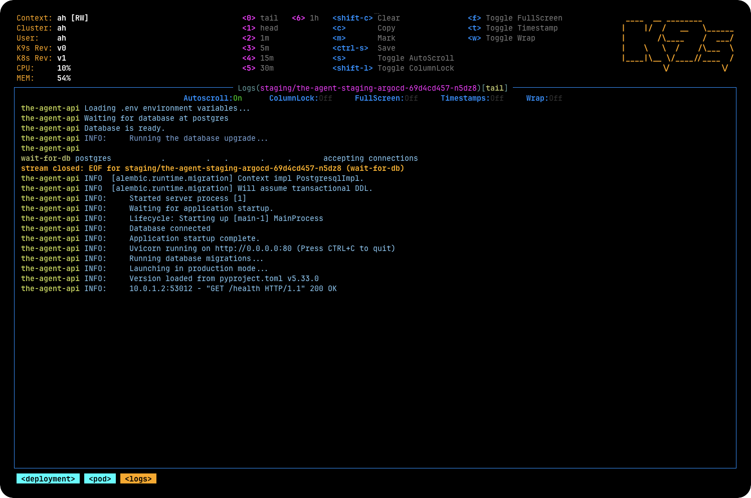 A terminal showing a self-hosted deployment of The Agent starting successfully and responding to a health check.